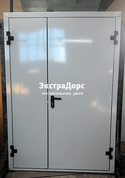 Противопожарная дверь EI 30 3 типа двупольная белая в Сергиев посаде  купить
