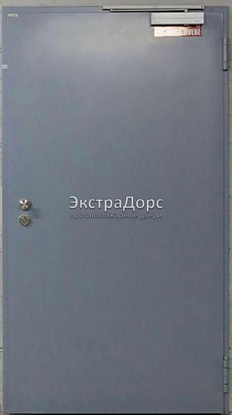 Противопожарная дверь однопольная дымогазонепроницаемая металлик в Сергиев посаде  купить