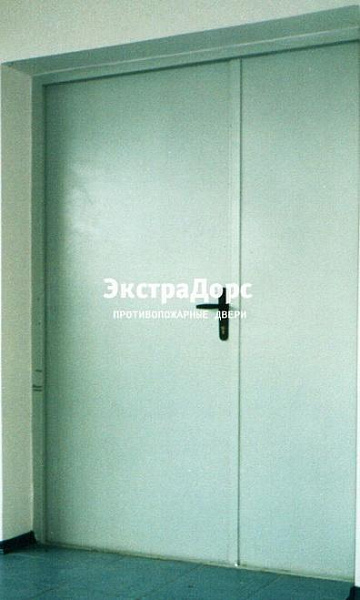 Противопожарная дверь двупольная белая без порога в Сергиев посаде  купить