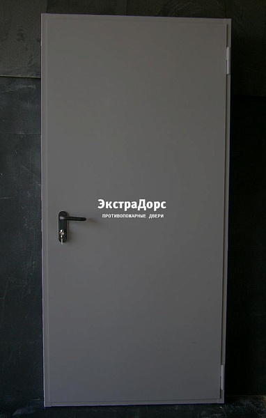 Дверь металлическая противопожарная EI 60 ДПМ 2 типа серая в Сергиев посаде  купить