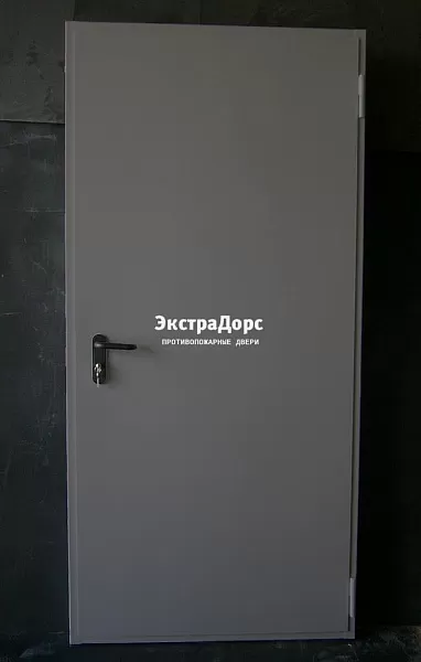 Дверь металлическая противопожарная EI 60 ДПМ 2 типа серая